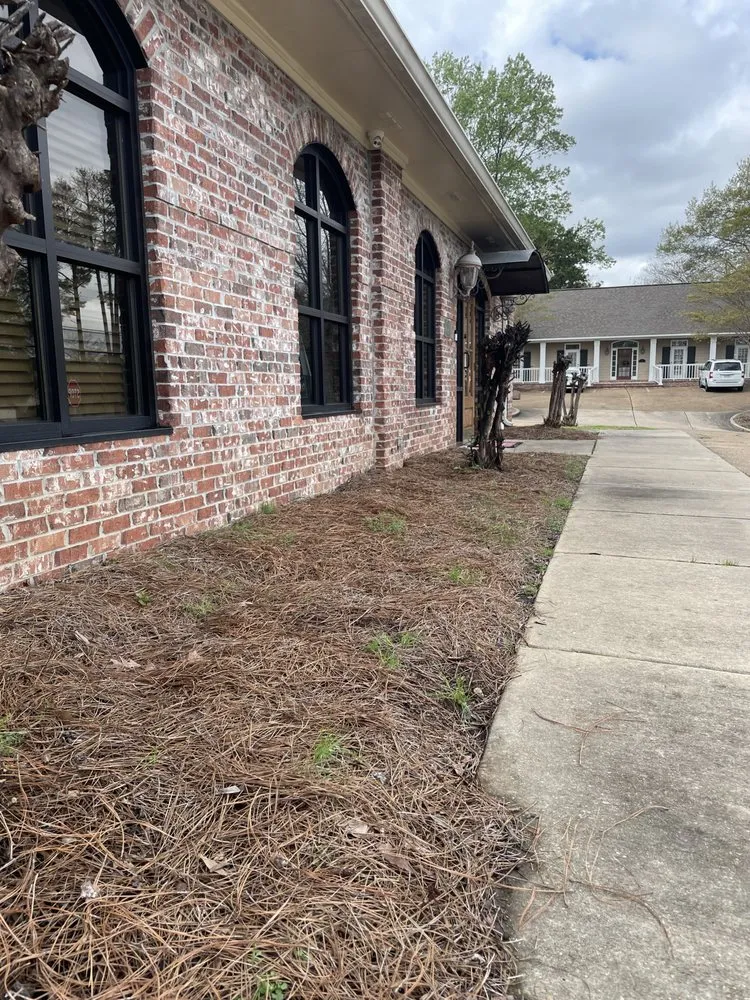 Top-rated landscaping services in Richland, MS by Alive Landscape