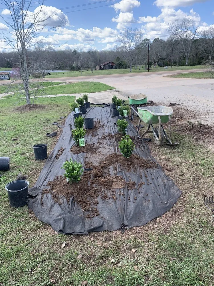 Top-rated residential landscaping in Richland, MS by Alive Landscape