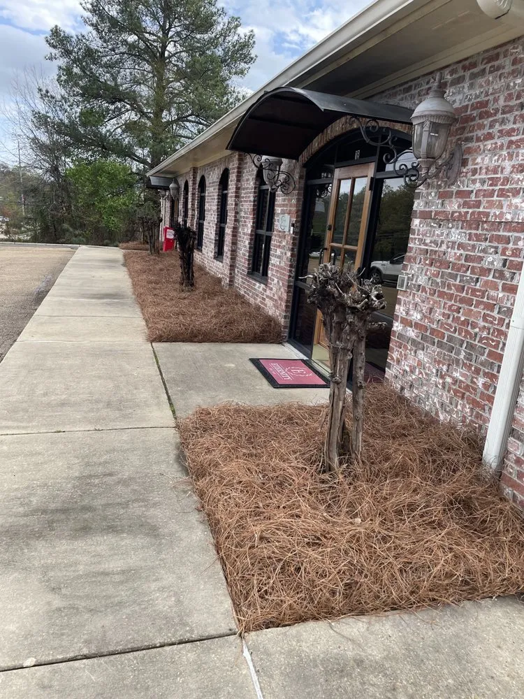 Reliable landscape design near you across Richland, MS - Alive Landscape