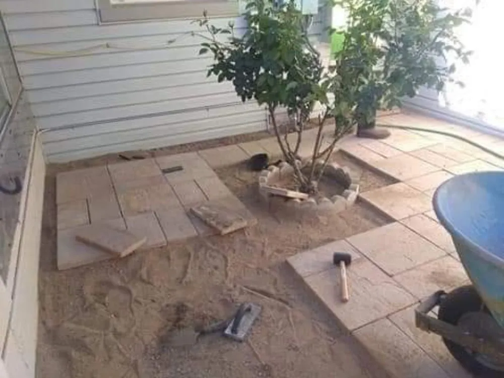 Local lawn care service in San Diego, CA - ALJ & Sons Landscape & Construction