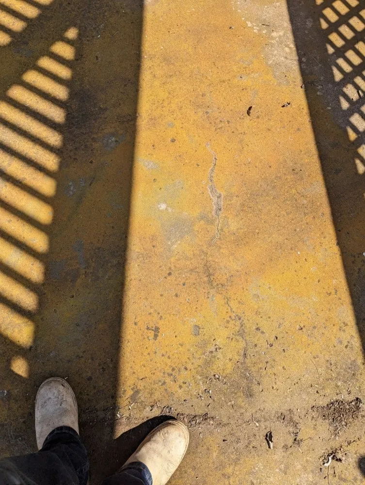 Trusted yard cleanup service experts serving San Diego, CA - ALJ & Sons Landscape & Construction