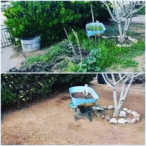 Affordable yard maintenance experts serving San Diego, CA - ALJ & Sons Landscape & Construction