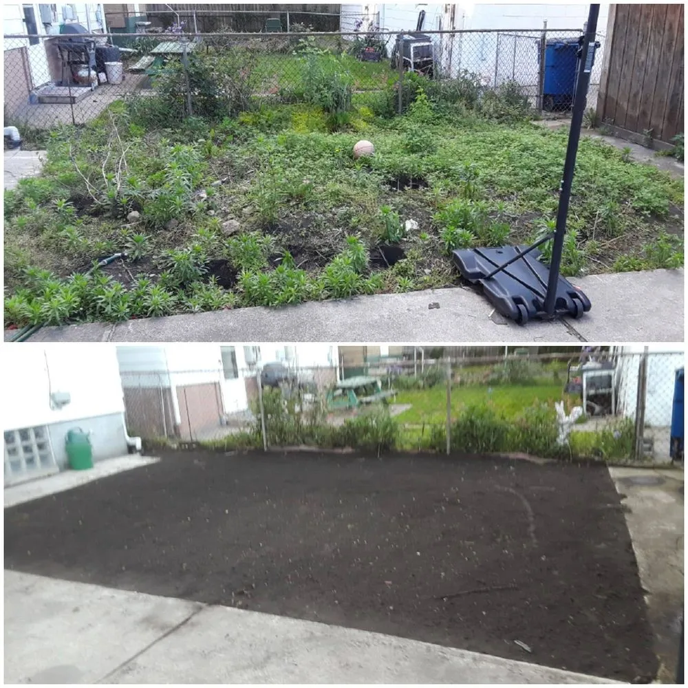 Trusted residential landscaping in Grosse Pointe Woods, MI by ALJ Property Services