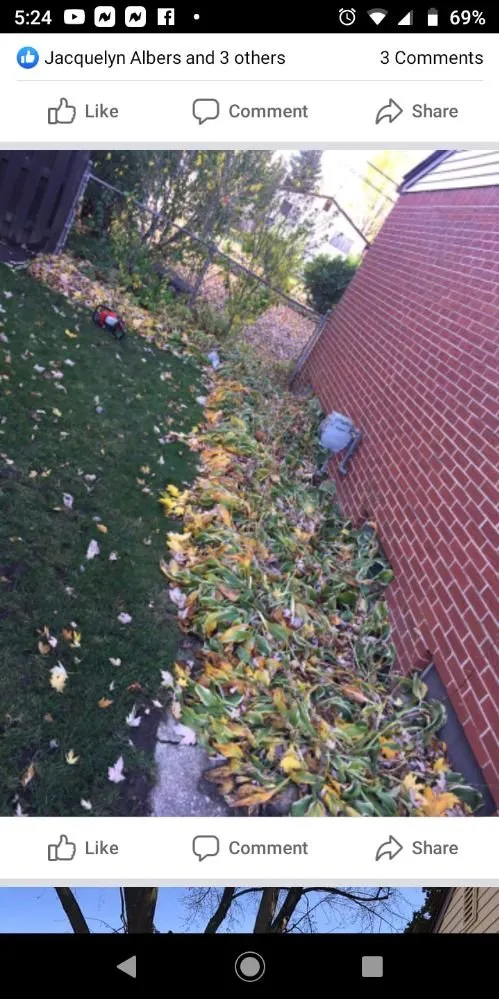 Professional landscape design in Grosse Pointe Woods, MI - ALJ Property Services