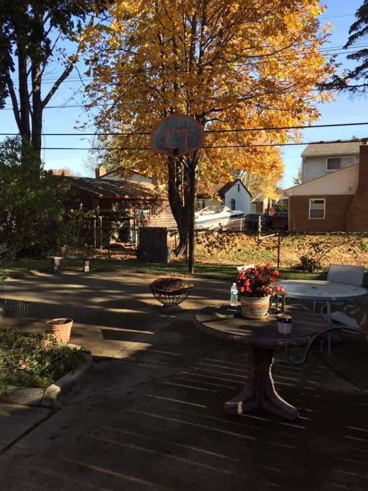 Trusted yard maintenance with custom design in Grosse Pointe Woods, MI by ALJ Property Services