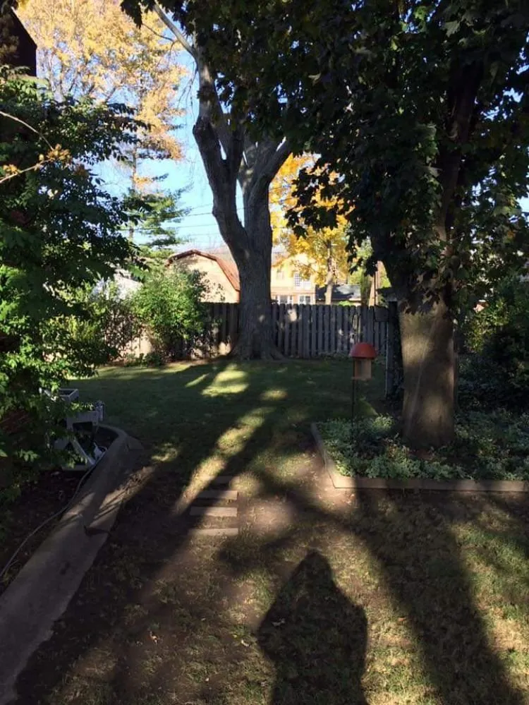 Professional garden landscaping for outdoor upgrades in Grosse Pointe Woods, MI by ALJ Property Services