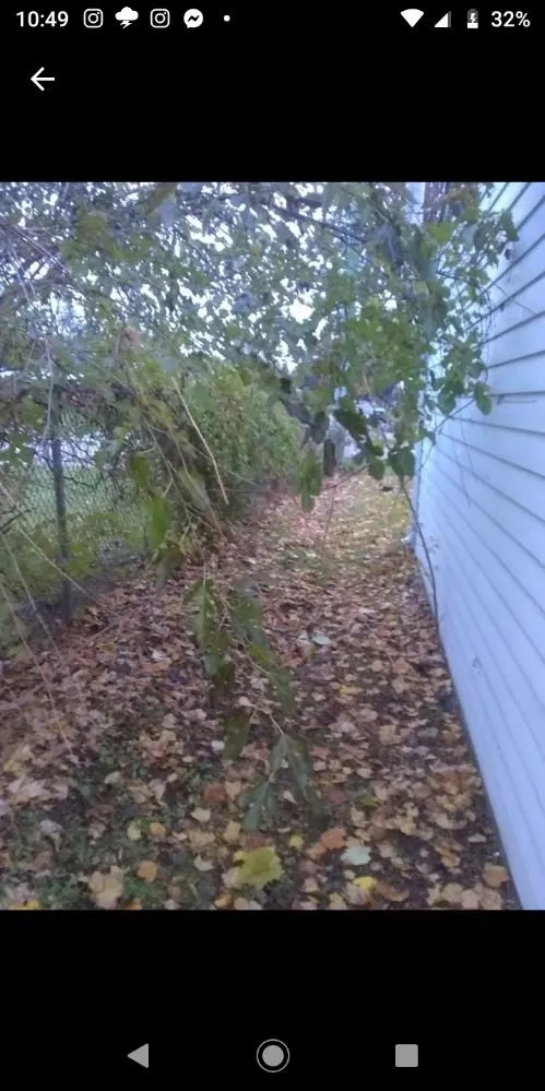 Expert lawn mowing service experts serving Grosse Pointe Woods, MI - ALJ Property Services