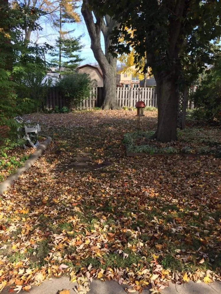 Reliable yard maintenance in Grosse Pointe Woods, MI by ALJ Property Services