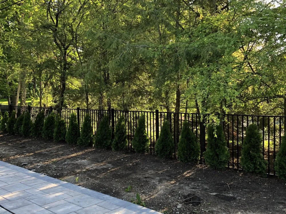 Affordable yard cleanup service in Grosse Pointe Woods, MI - ALJ Property Services