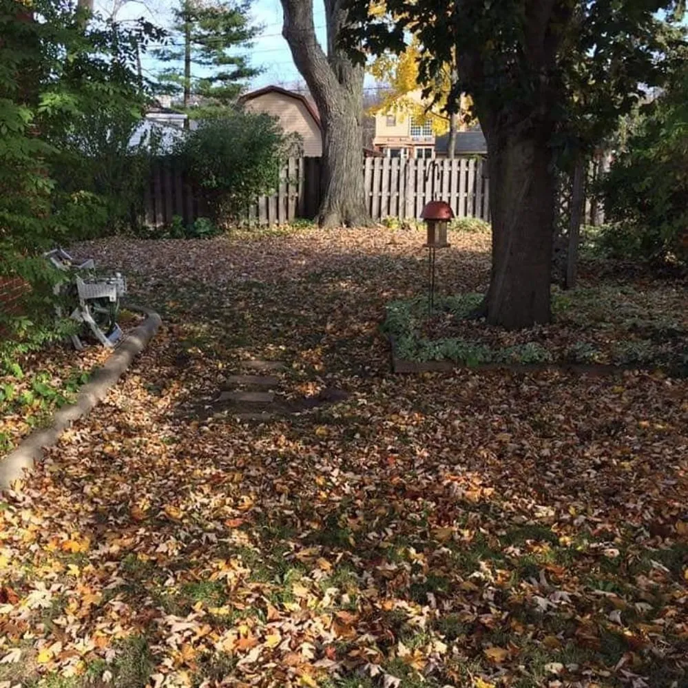 Reliable landscape design in Grosse Pointe Woods, MI by ALJ Property Services