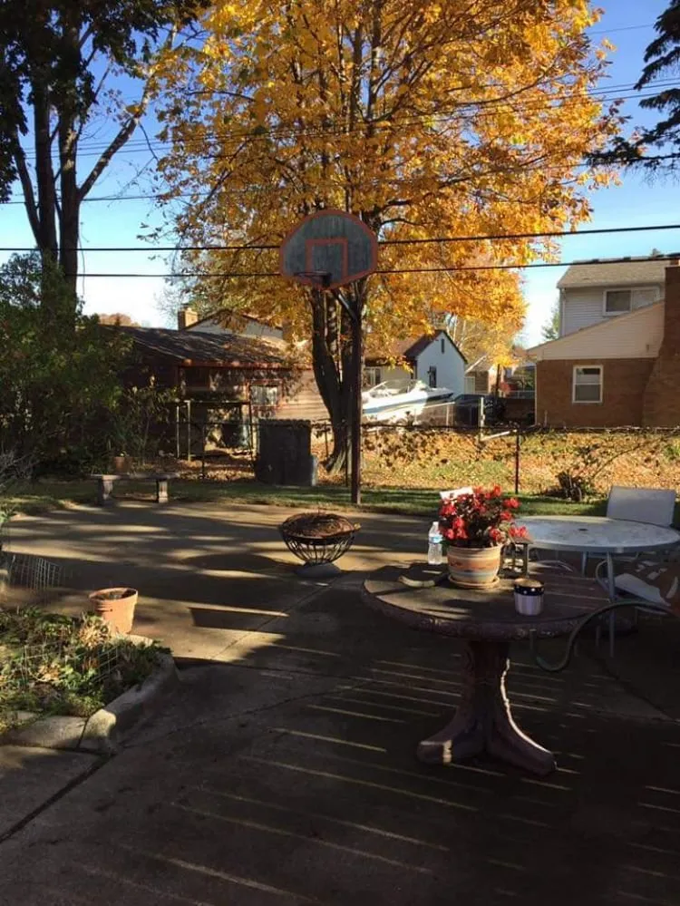 Local yard maintenance in Grosse Pointe Woods, MI - ALJ Property Services