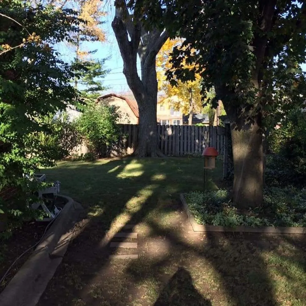 Expert residential landscaping near you in Grosse Pointe Woods, MI by ALJ Property Services
