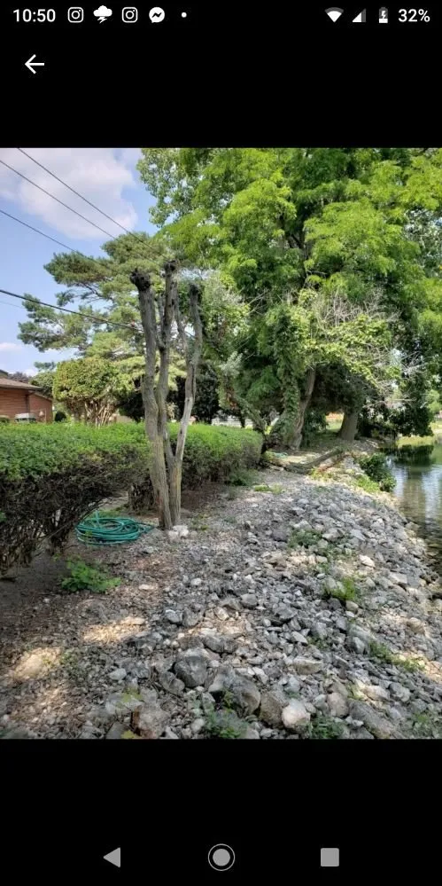 Top-rated lawn care service for outdoor upgrades across Grosse Pointe Woods, MI - ALJ Property Services