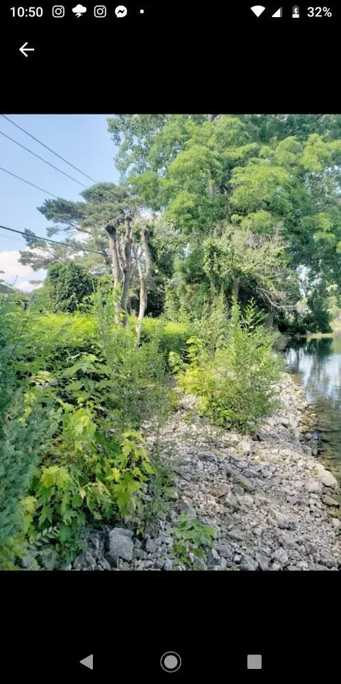 Expert lawn mowing service experts serving Grosse Pointe Woods, MI - ALJ Property Services