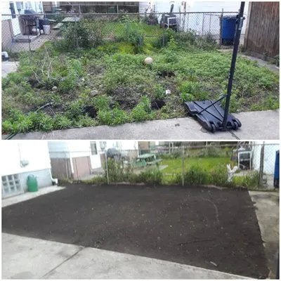 ALJ Property Services