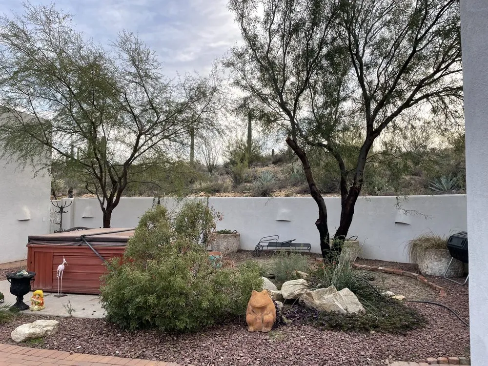 Local landscaping services in Casas Adobes, AZ by Alkaline Irrigation