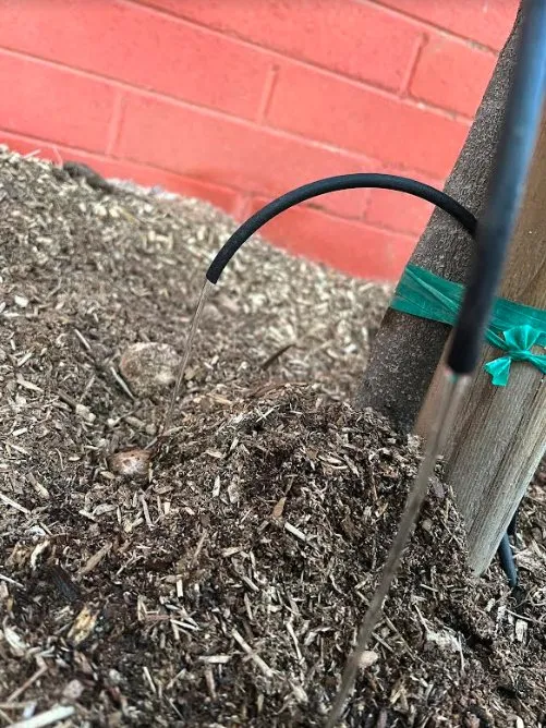 Professional lawn mowing service in Casas Adobes, AZ by Alkaline Irrigation