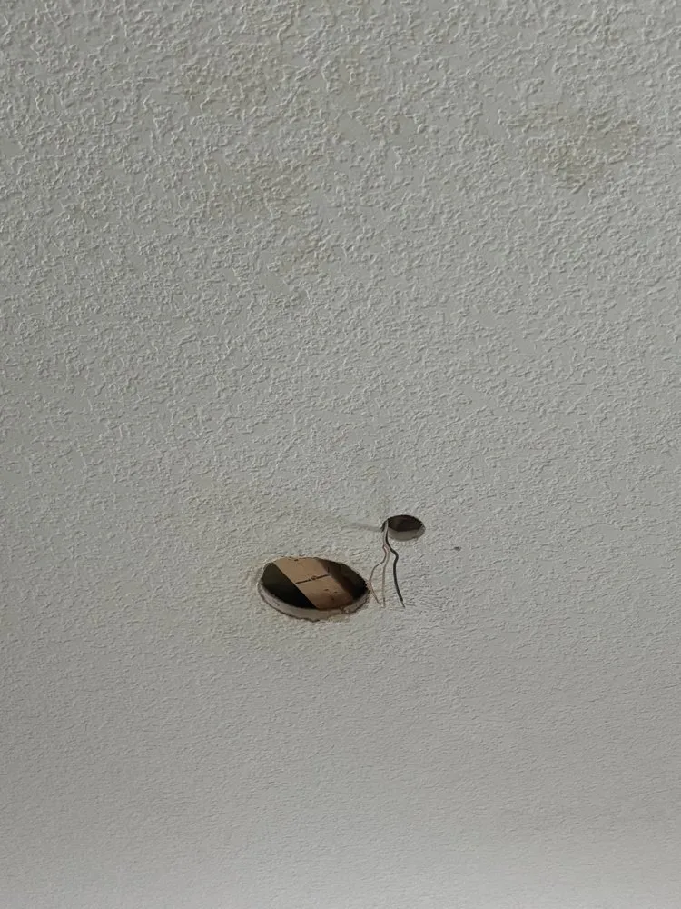 Reliable lawn mowing service experts serving Ontario, CA - All & All Solutions