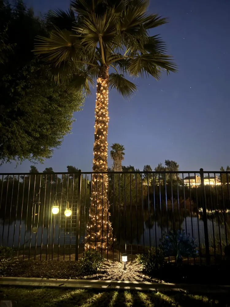 Affordable yard cleanup service experts serving Ontario, CA - All & All Solutions