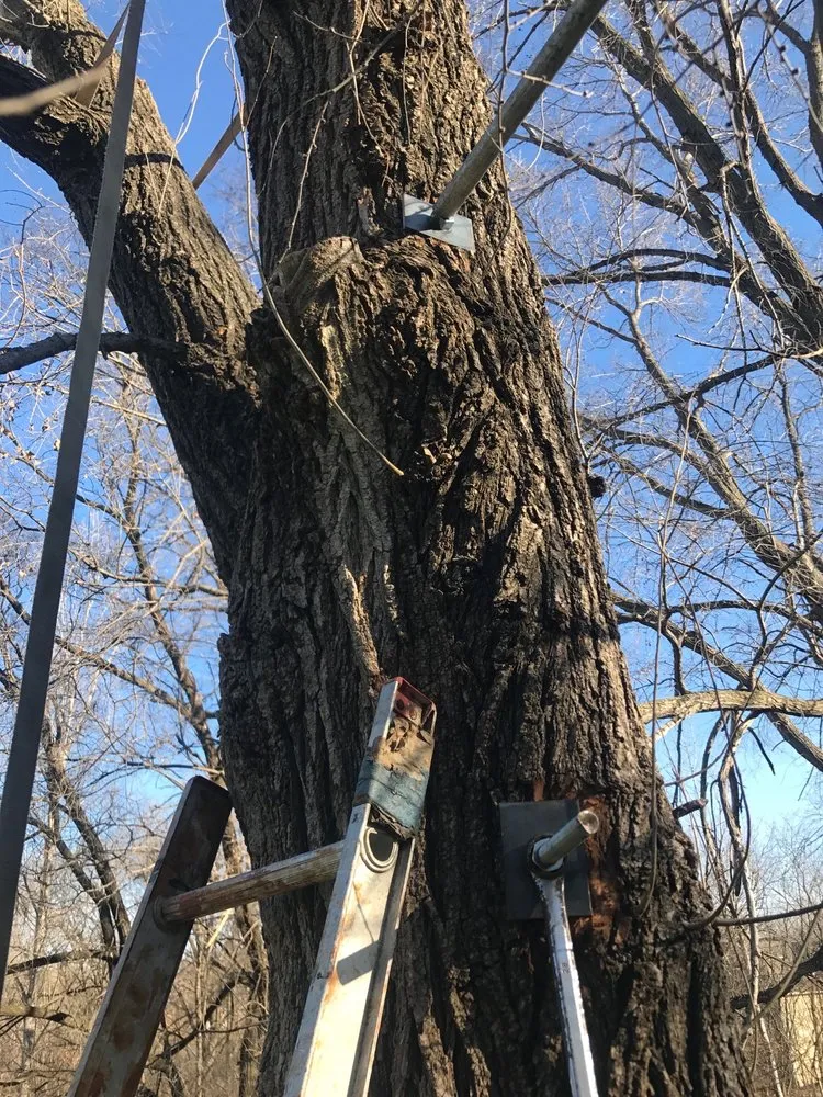 Expert lawn mowing service with custom design across Des Moines, IA - All 4 Seasons