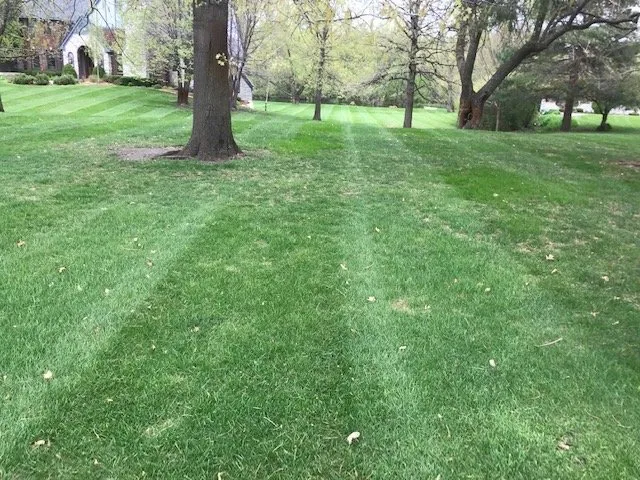 Affordable yard maintenance in Des Moines, IA - All 4 Seasons