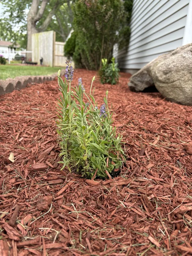 Affordable residential landscaping with custom design in Lafayette, IN by All 4 Seasons Gardening