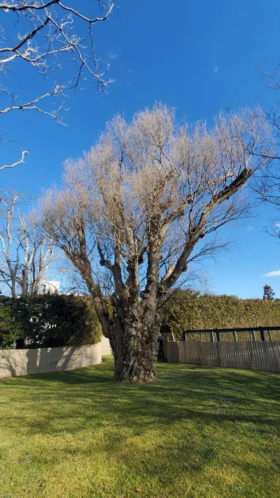 Expert yard cleanup service experts serving Wading River, NY - All 4 Seasons Property Care