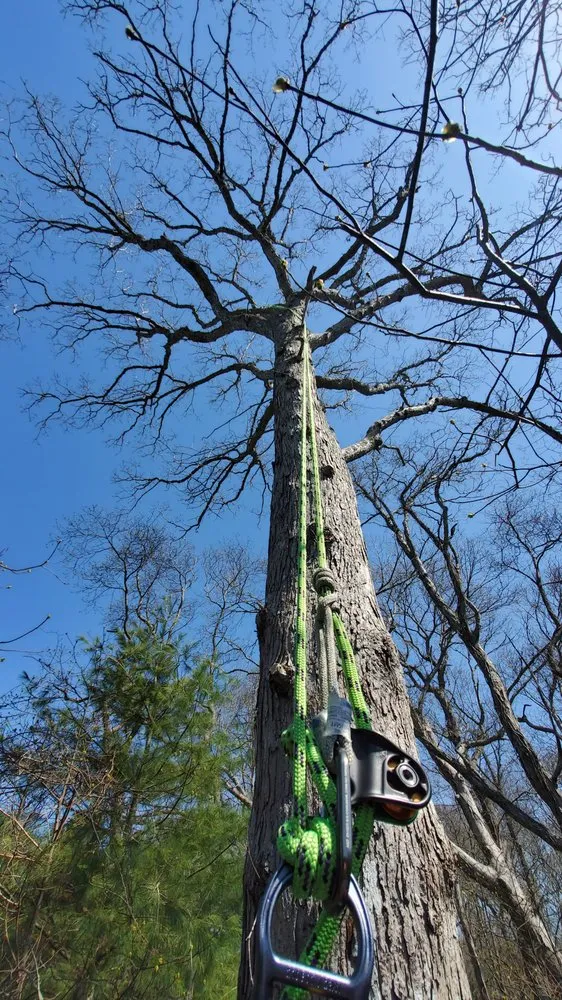 Local outdoor landscaping in Wading River, NY - All 4 Seasons Property Care