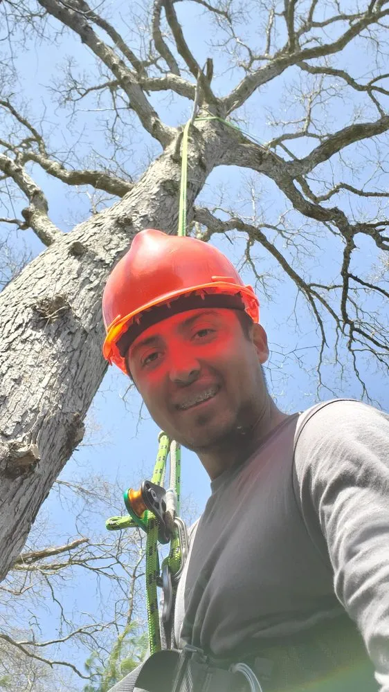 Top-rated residential landscaping in Wading River, NY by All 4 Seasons Property Care