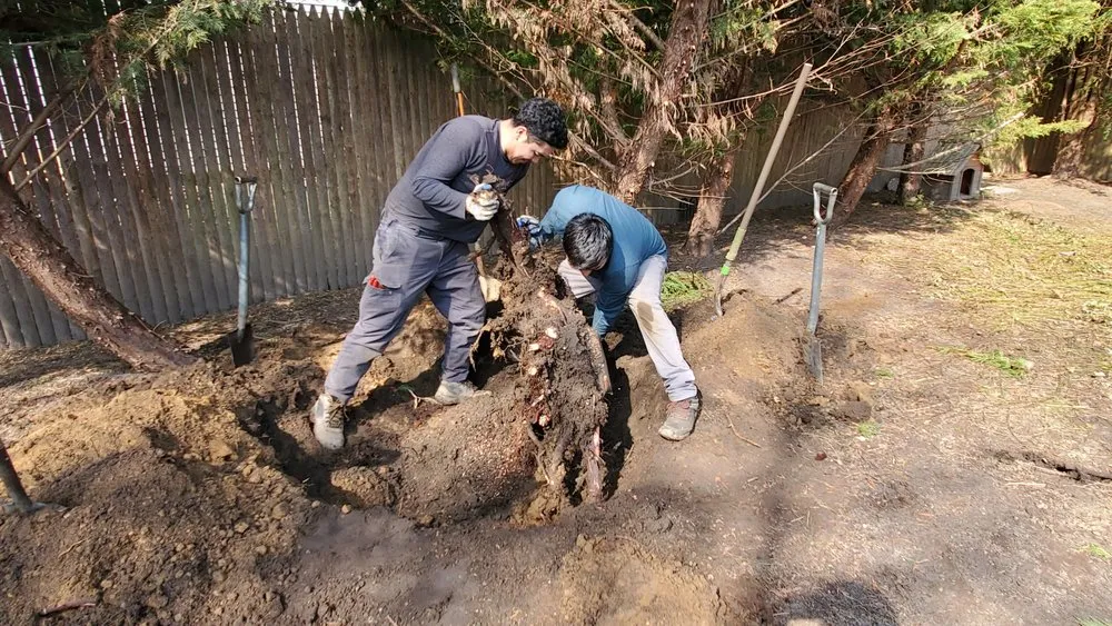 Custom garden landscaping experts serving Wading River, NY - All 4 Seasons Property Care