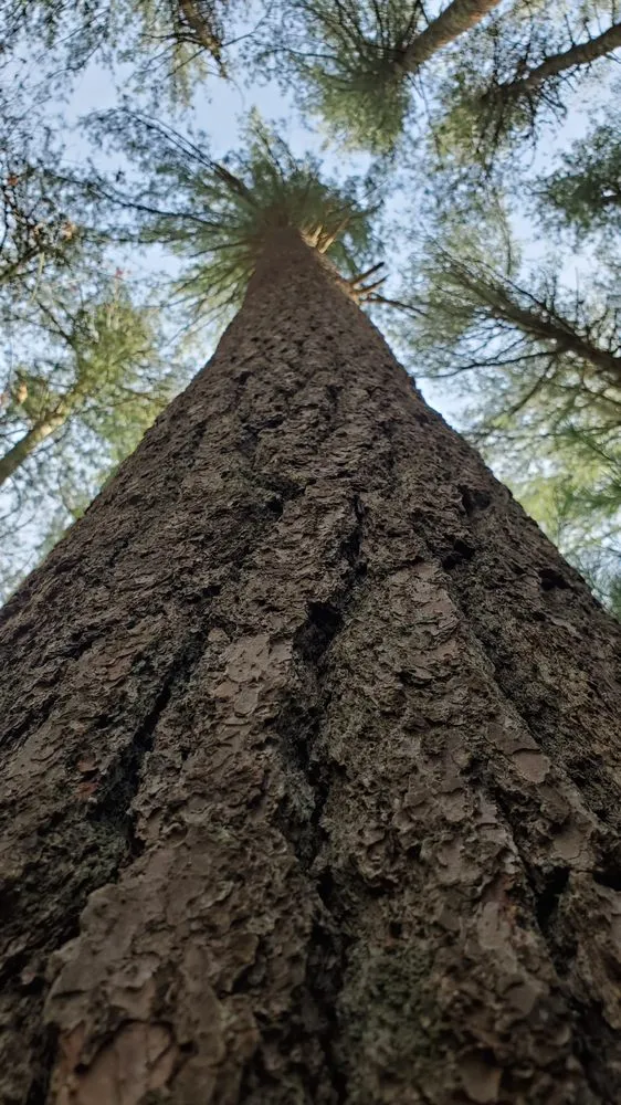 Custom landscaping services for homes across Wading River, NY - All 4 Seasons Property Care