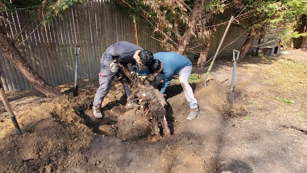 Custom outdoor landscaping for beautiful yards in Wading River, NY by All 4 Seasons Property Care