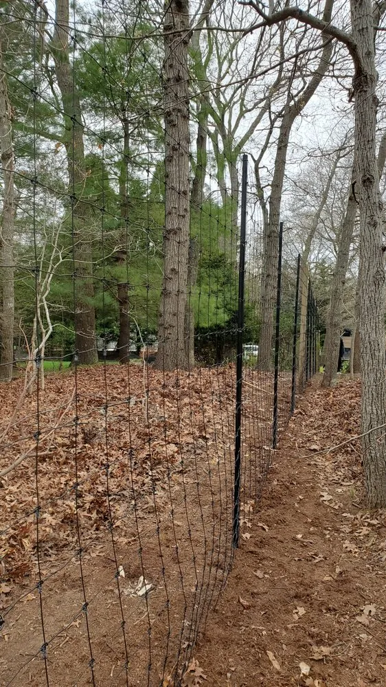 Expert lawn care service for homes in Wading River, NY by All 4 Seasons Property Care