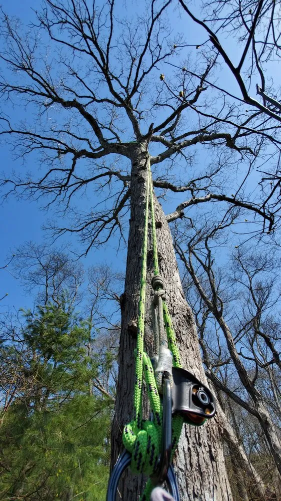 Expert landscape design in Wading River, NY - All 4 Seasons Property Care