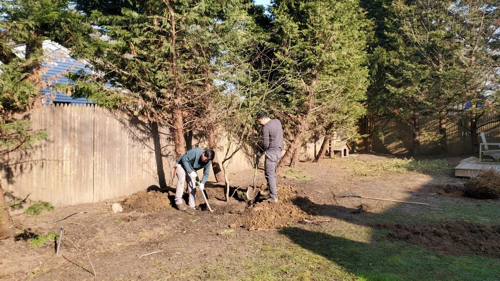 Custom lawn mowing service for outdoor upgrades across Wading River, NY - All 4 Seasons Property Care