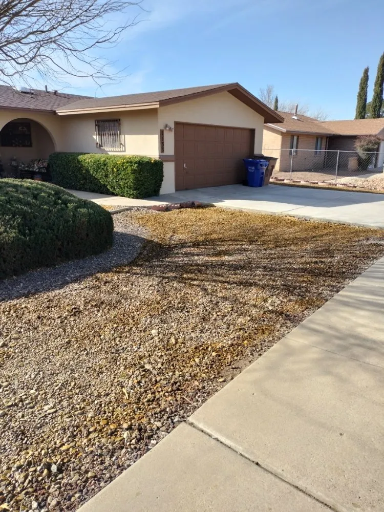 Affordable landscape installation for year-round maintenance across Las Cruces, NM - All 4 You Landscaping & More