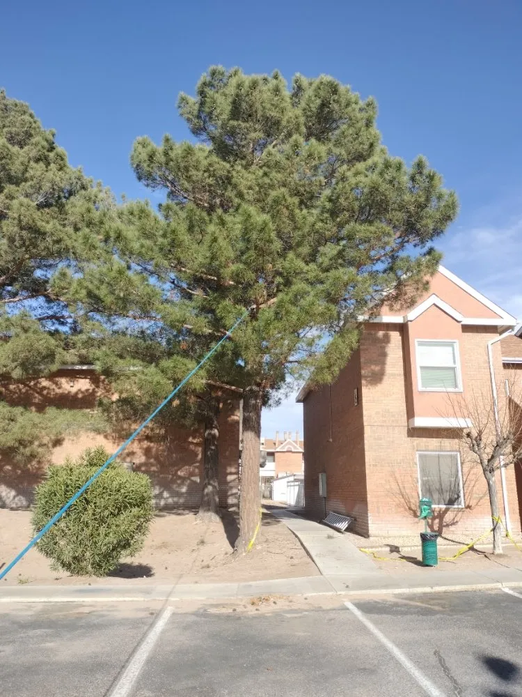 Local garden landscaping for beautiful yards in Las Cruces, NM by All 4 You Landscaping & More