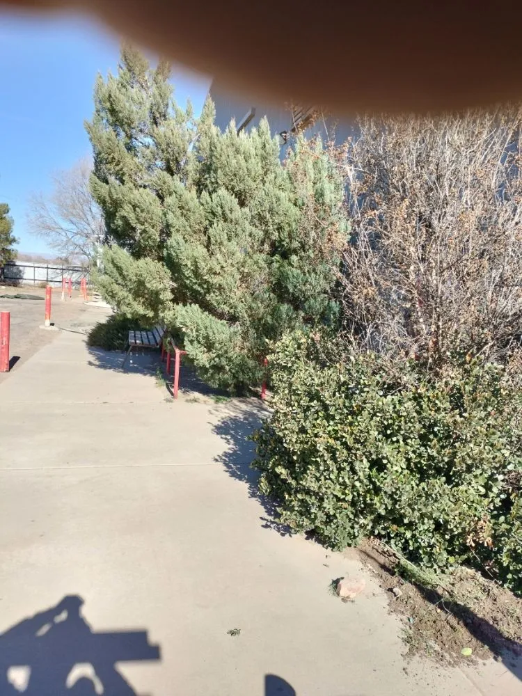 Local lawn mowing service in Las Cruces, NM - All 4 You Landscaping & More