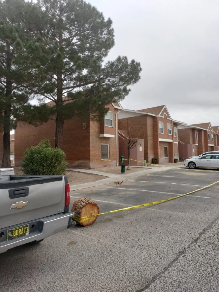 Custom landscape design near you across Las Cruces, NM - All 4 You Landscaping & More