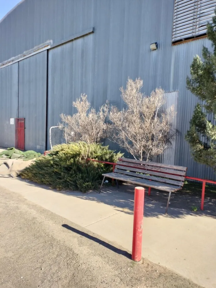 Trusted yard maintenance experts serving Las Cruces, NM - All 4 You Landscaping & More