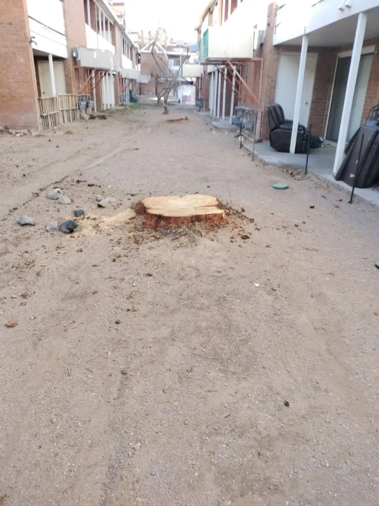 Top-rated yard maintenance near you in Las Cruces, NM by All 4 You Landscaping & More