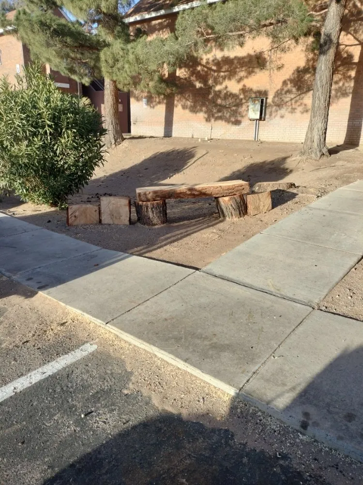 Professional yard maintenance with custom design across Las Cruces, NM - All 4 You Landscaping & More