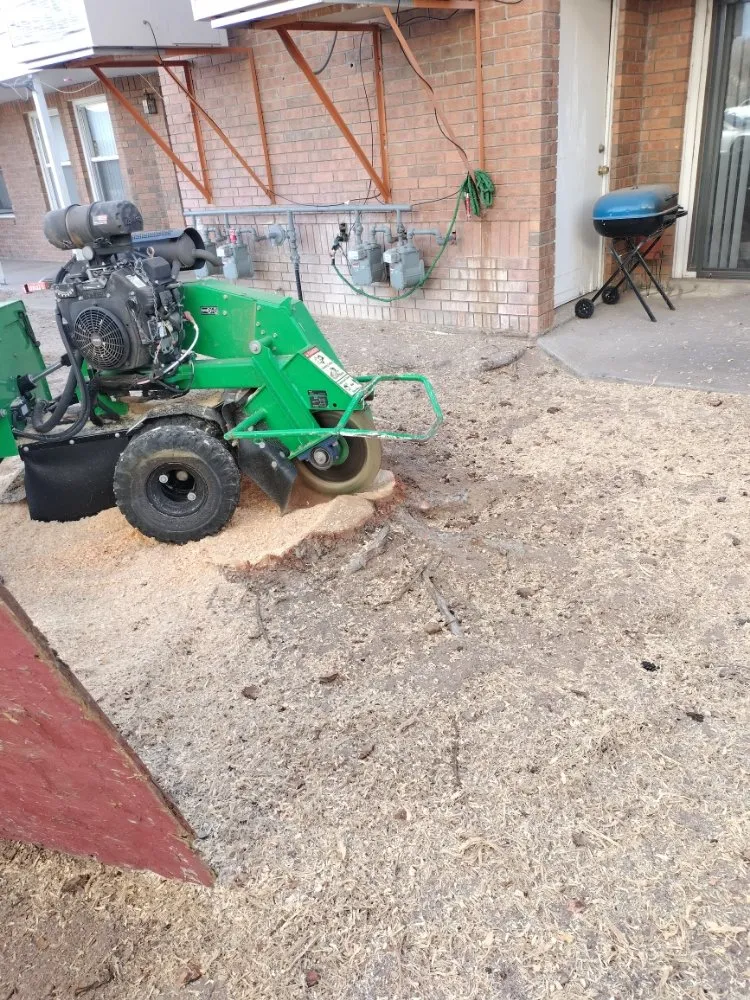 Affordable lawn care service for outdoor upgrades across Las Cruces, NM - All 4 You Landscaping & More