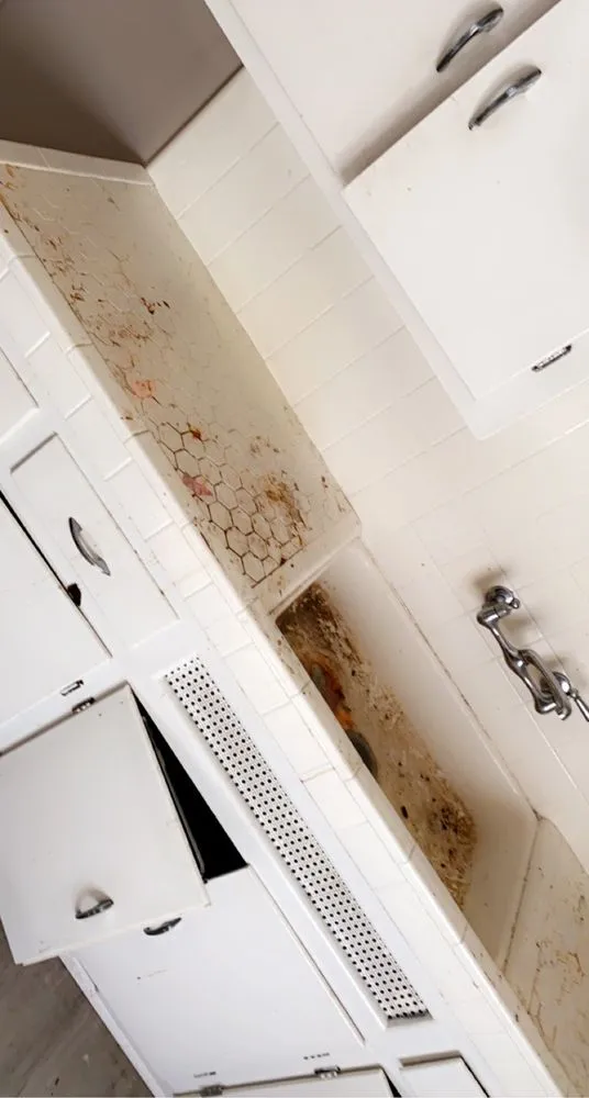 Professional garden landscaping in Tyler, TX - All About Business Cleaning Service