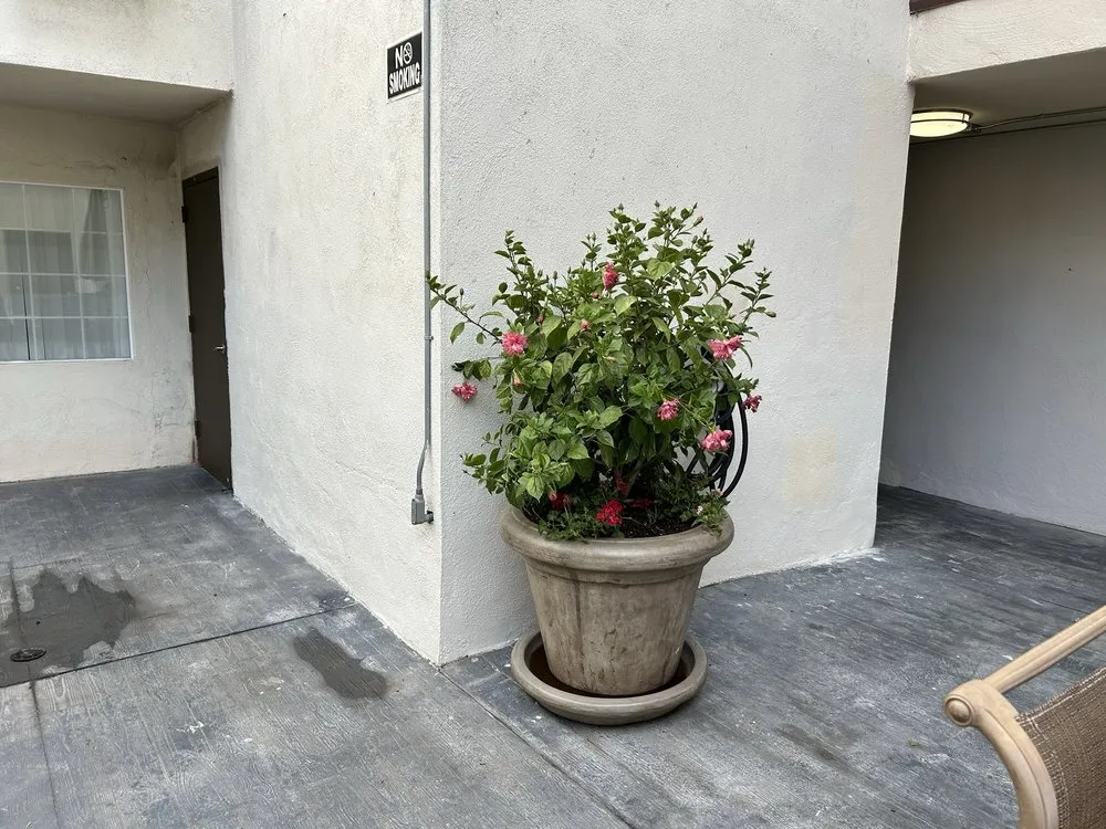 Expert residential landscaping for outdoor upgrades across Mission Hills, CA - All About Cuts