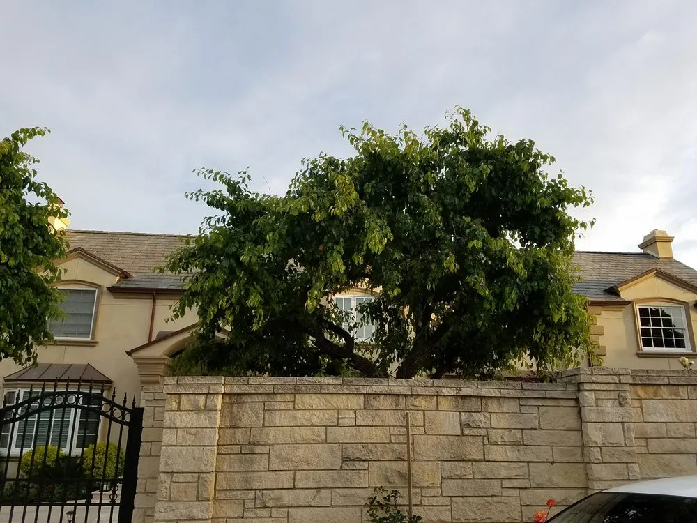 Reliable garden landscaping for outdoor upgrades across Mission Hills, CA - All About Cuts