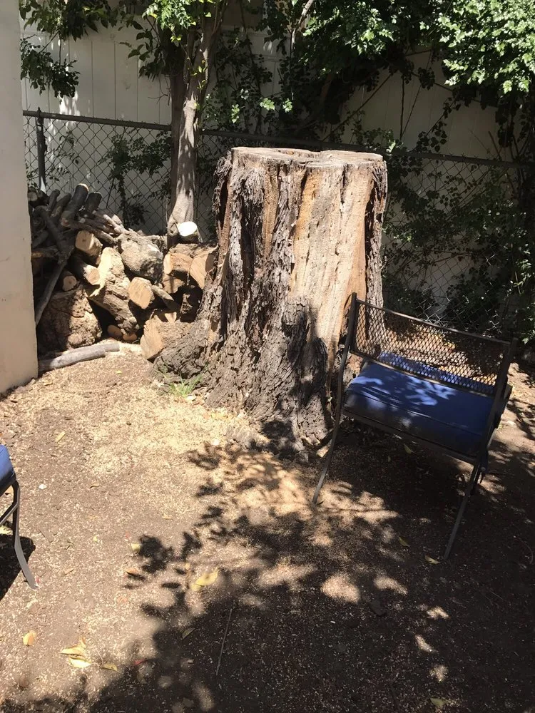 Trusted landscaping services in Mission Hills, CA by All About Cuts