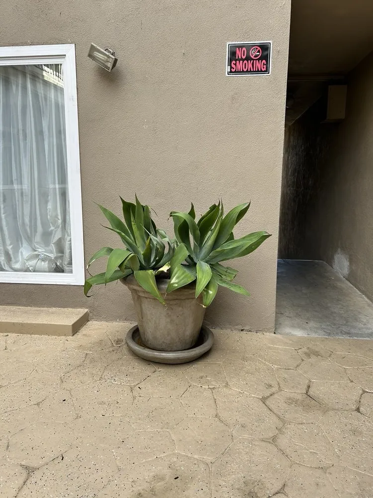 Reliable landscape design for year-round maintenance across Mission Hills, CA - All About Cuts