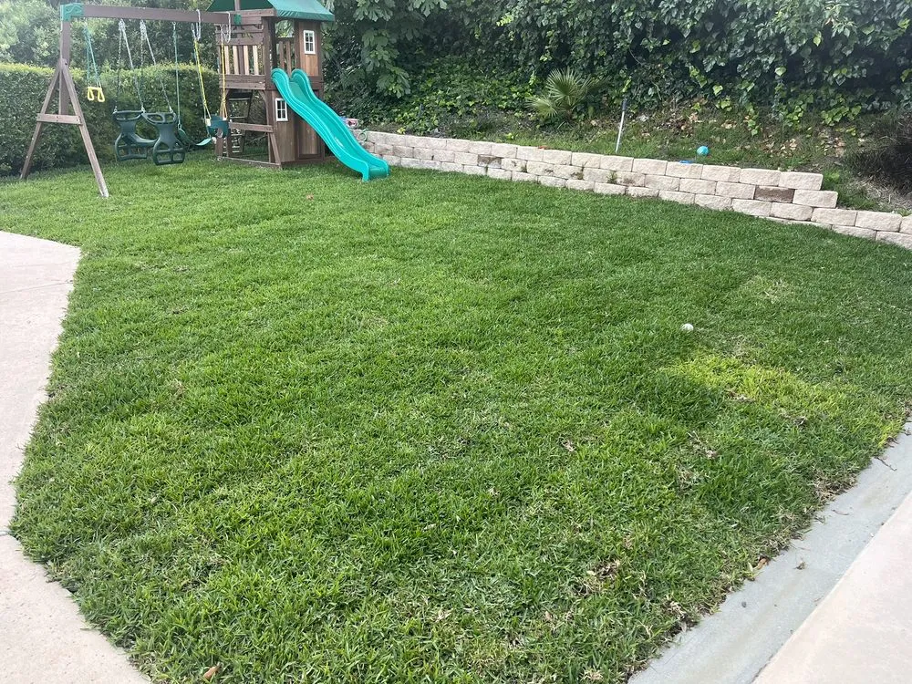 Reliable yard maintenance with custom design across Mission Hills, CA - All About Cuts
