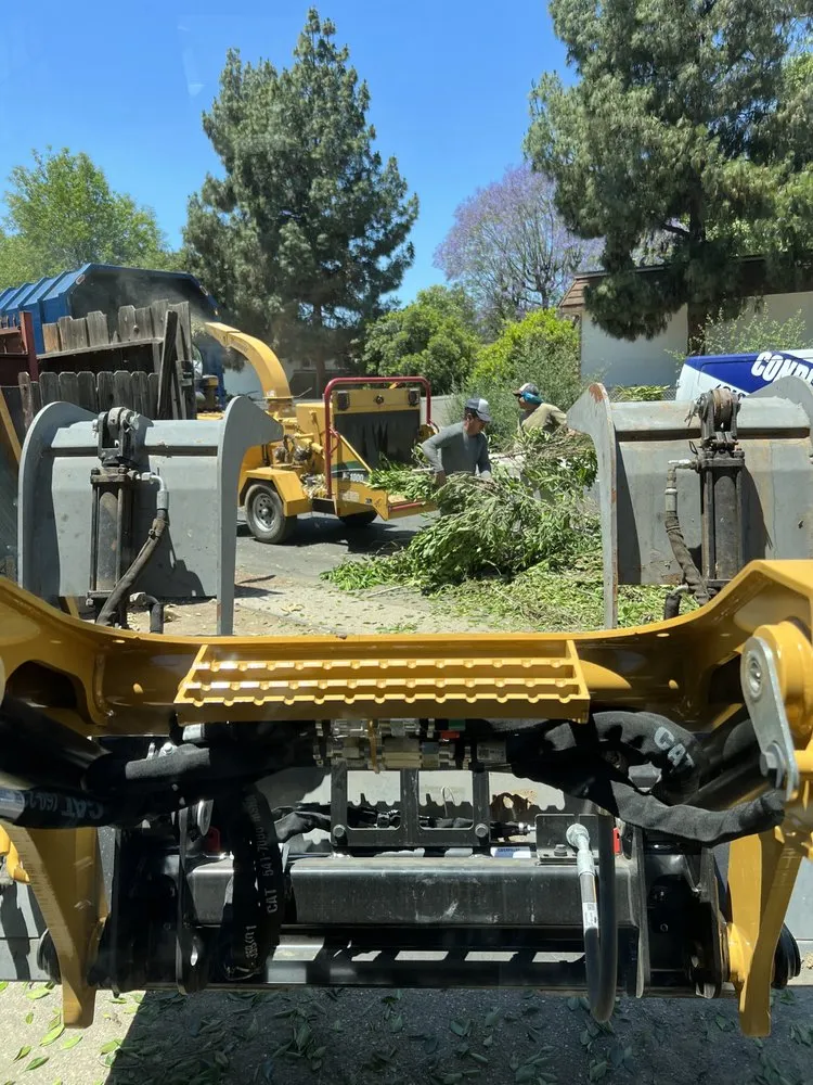 Affordable outdoor landscaping in Mission Hills, CA by All About Cuts